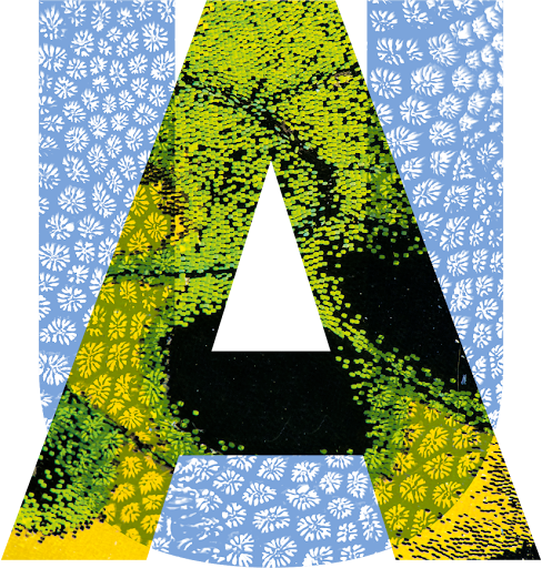 KSR Logo